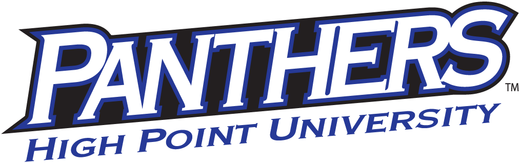 High Point Panthers 2004-2012 Wordmark Logo v2 diy iron on heat transfer